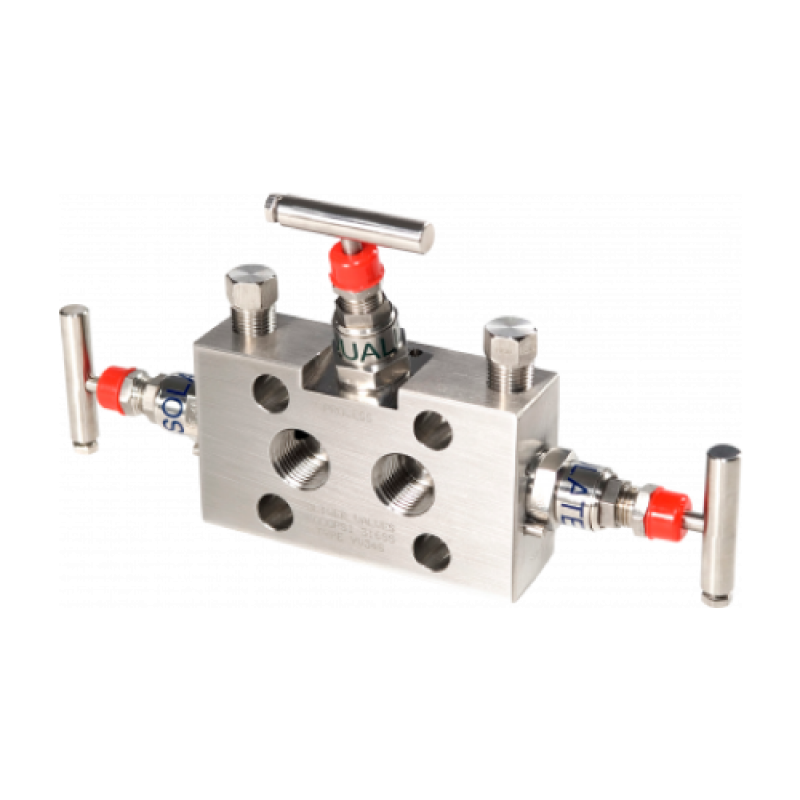 YV34 Needle Valve Manifold