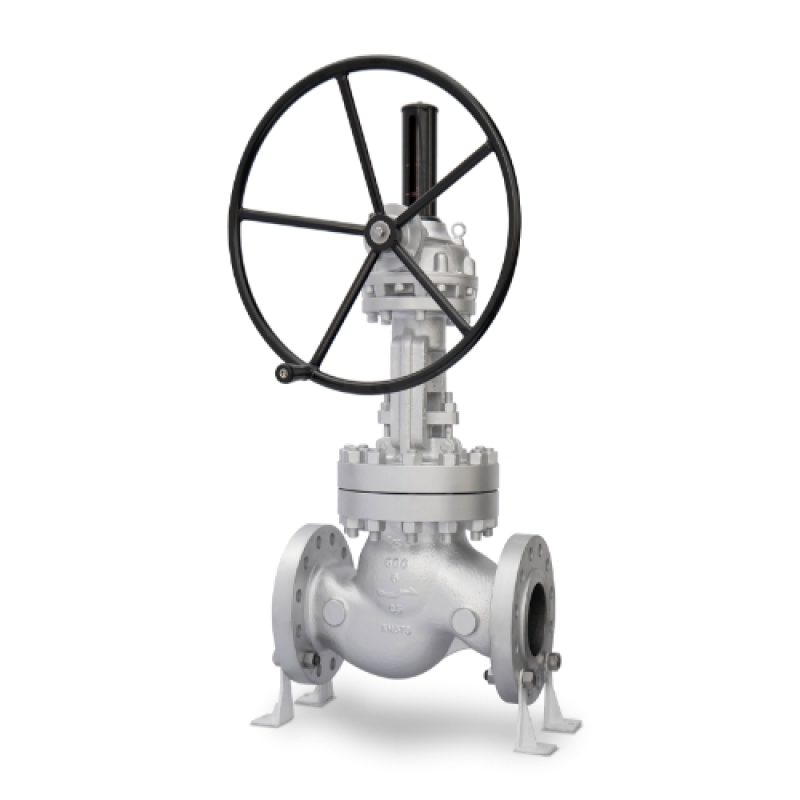 Globe Valve